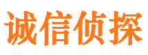 新民市侦探调查公司